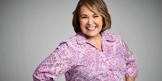 Roseanne Barr stars in the reboot of "Roseanne."