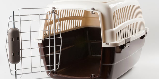 Opened pet travel plastic carrier on white