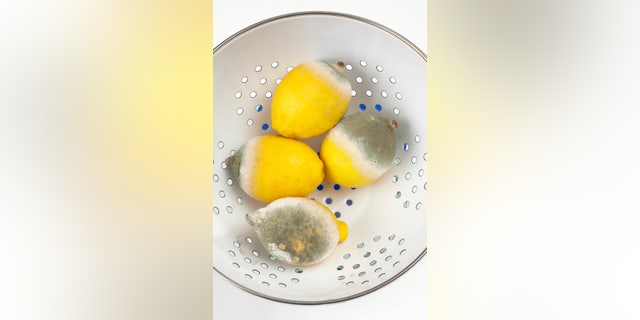 Moulded lemons in strainer on white background