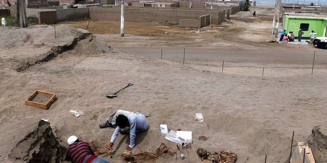 In this 2011 photo, archaeological students clean the remains of children and young llamas in the fishing town of Huanchaquito, Trujillo.
