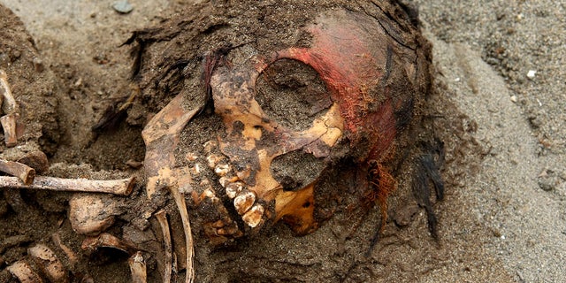 Discovered in 2011, the excavation sight on the northern coast of Peru has produced evidence of the largest known mass sacrifice in history.