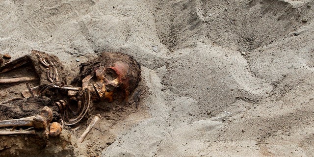 Archaeologists found the remains of 42 children and more than 70 young llamas in 2011, near Trujillo, Peru. By 2016 the number had grown to 140 children and 200 young llamas.