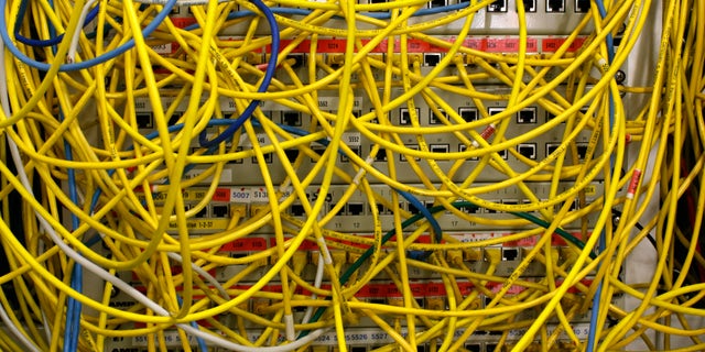 File photo: Ethernet cables used for internet connections are pictured in a Berlin office, August 20, 2014. (REUTERS/Fabrizio Bensch)