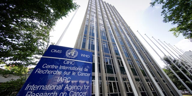 FILE -- External view of the International Agency for Research on Cancer (IARC) in Lyon, France, June 12, 2017. Picture taken June 12, 2017.