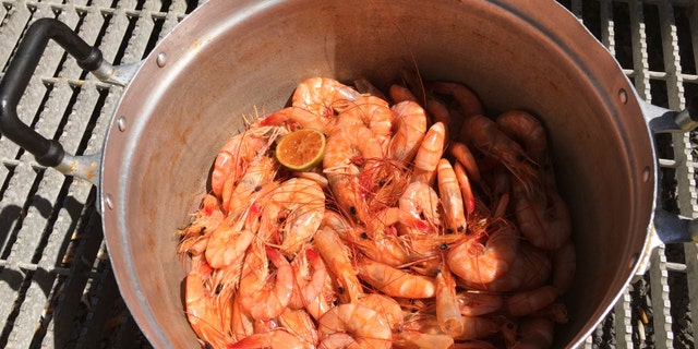 File photo: Freshly caught Gulf of Mexico white shrimp steamed for lunch at the Ditcharo Seafood Dock in Buras, Louisiana on Aug. 20, 2015. (REUTERS/David Lawder)