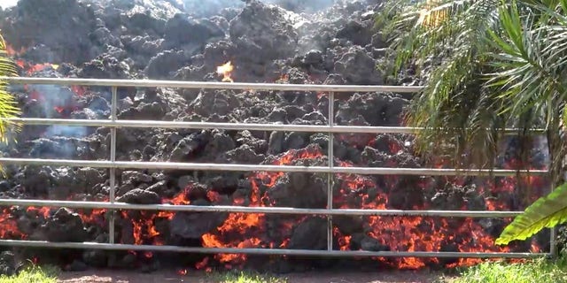 Lava advances towards a metal barrier in Puna, Hawaii, over the weekend.