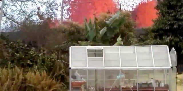 Lava is seen from a fissure appearing behind a resident's backyard in Puna, Hawaii.