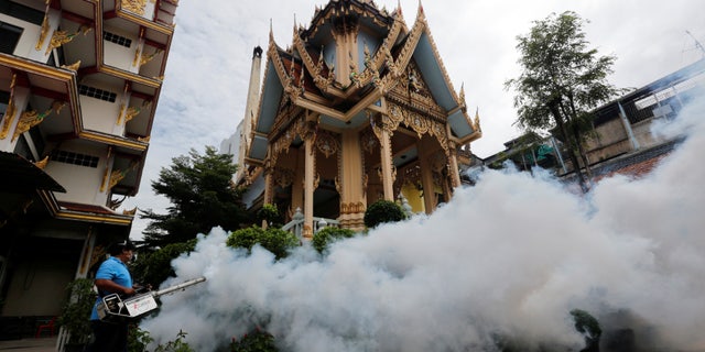 A city worker fumigates the area to control the spread of mosquitoes at a temple in Bangkok, Thailand, September 14, 2016. REUTERS/Chaiwat Subprasom - RTSNMX1