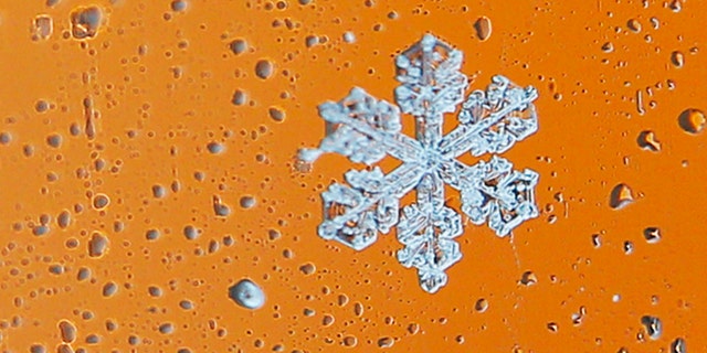 Snowflakes collect on a car window during a winter nor'easter snow storm in Waltham, Massachusetts January 2, 2014. REUTERS/Brian Snyder (UNITED STATES - Tags: ENVIRONMENT TPX IMAGES OF THE DAY) - RTX17080