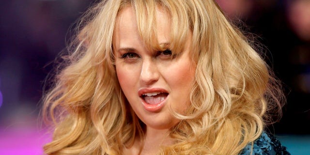 Rebel Wilson said it was "devastating" to be called a liar.