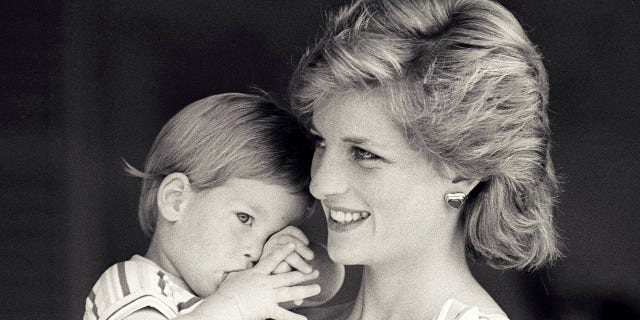 FILE PHOTO - Britain's Princess Diana holds Prince Harry during a morning picture session at Marivent Palace, where the Prince and Princess of Wales are holidaying as guests of King Juan Carlos and Queen Sofia, in Mallorca, Spain August 9, 1988. REUTERS/Hugh Peralta/File Photo - LR1ED150UUTKB