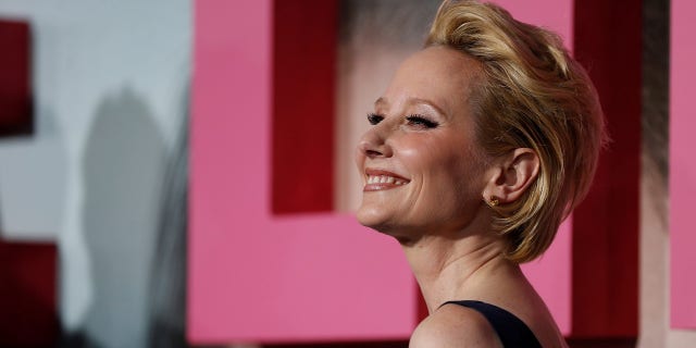 Anne Heche said Harvey Weinstein exposed himself to her and had her fired from a Miramax job.