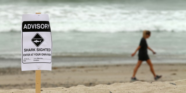 Warning signs placed along the beach to warn swimmers and surfers of recent shark sightings in San Clemente, California, last May.