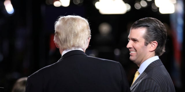 Donald Trump Jr., the president's oldest son, took a meeting with a Russian lawyer during the campaign. She was supposed to have damning information about Hillary Clinton.