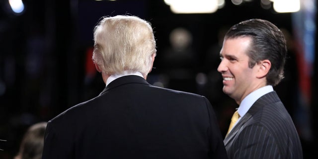 Donald Trump Jr., the president's oldest son, took a meeting with a Russian lawyer during the campaign. She was supposed to have damning information about Hillary Clinton.