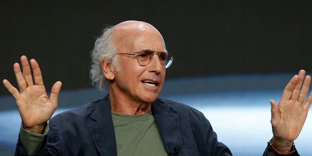 Larry David co-created, produced, and wrote for ’Seinfeld.’