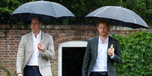 Britain's Prince William, Duke of Cambridge and Prince Harry visit the White Garden in Kensington Palace in London, Britain August 30, 2017. REUTERS/Kirsty Wigglesworth/Pool - RC133A0AEC90