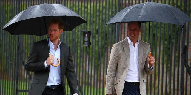 Prince William said the family is "very excited" about Prince Harry and Meghan Markle's engagement.