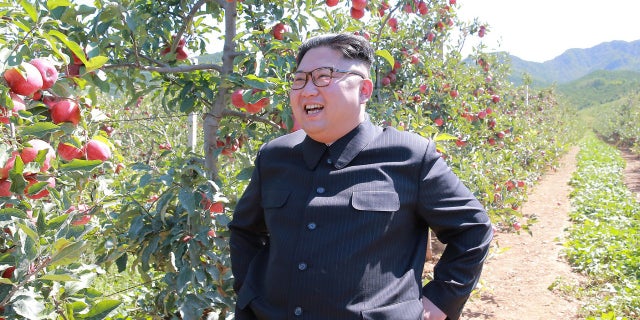 NORTHKOREA-POLITICS/