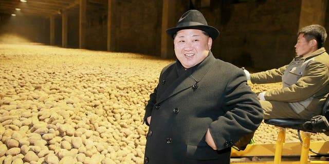 Kim Jong Un is often pictured at food processing plants or factories showing an abundance of food in North Korea.