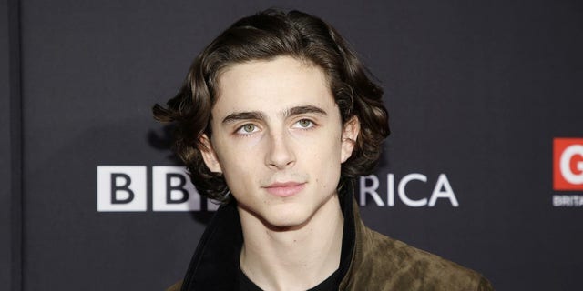 Timothee Chalamet revealed he hopes Trump is not re-elected. 