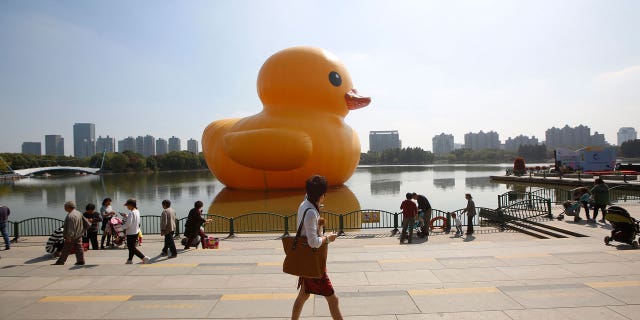 Believe it or not, this isn't the duck Canada has planned. This is a different one.