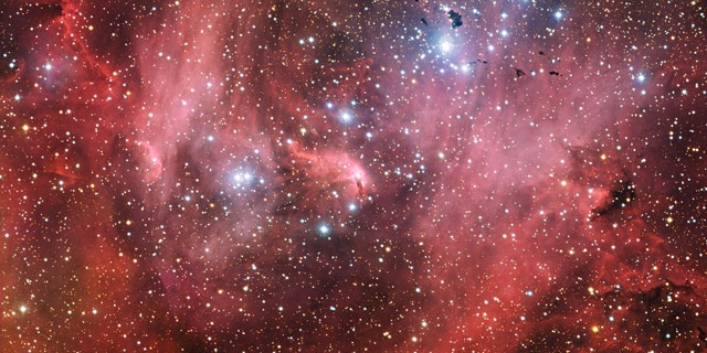A new image from the European Southern Observatory shows the Running Chicken Nebula, a cloud of gas and newborn stars that lies 6,500 light years from us in the constellation of Centaurus.