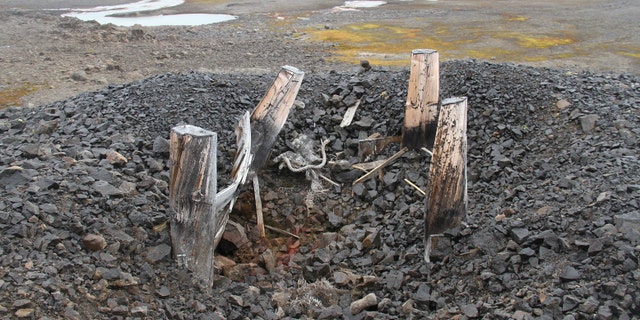 Fortification near the site of the weather station on Alexandra Land island (Yulia Petrova).