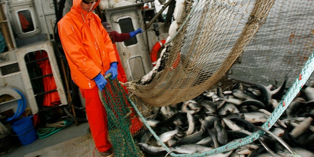 Alaska fish processors in flap with Walmart over salmon purchases | Fox ...