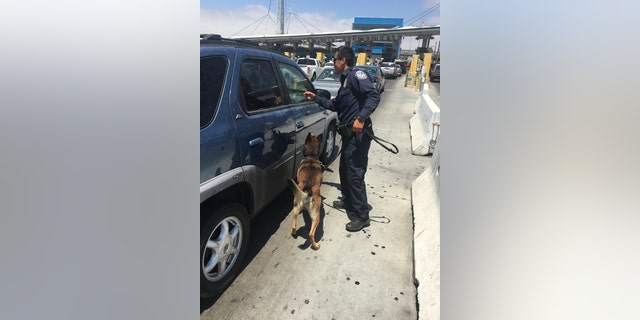 According to federal authorities, 70 percent of the fentanyl coming into the country is being smuggled through the San Ysidro Port of Entry just south of San Diego.