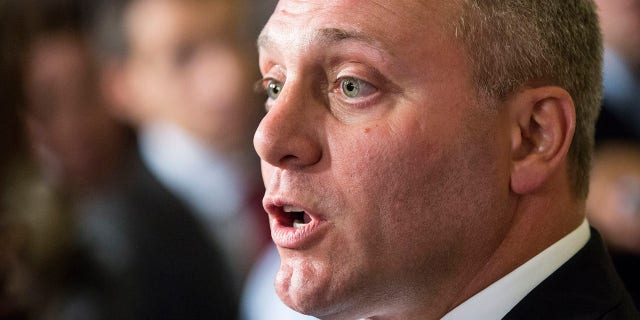 Newly elected House Majority Whip Steve Scalise (R-LA) speaks to the media on Capitol Hill in Washington June 19, 2014. House of Representatives Republicans on Thursday chose an ally of Speaker John Boehner for the number 2 job in the chamber and, in a victory for the party's conservative wing, elevated Southern lawmaker Scalise to a leadership role. REUTERS/Joshua Roberts (UNITED STATES - Tags: POLITICS ELECTIONS) - RTR3UQLA