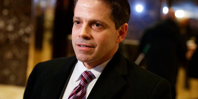 Scaramucci558
