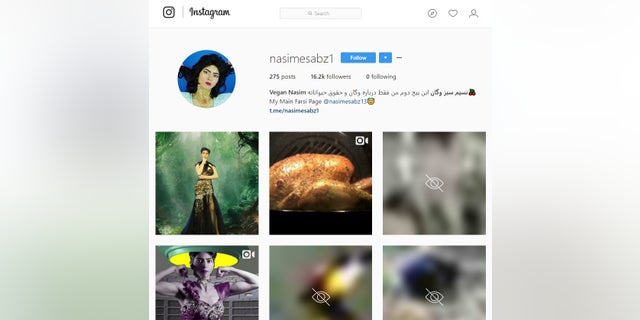 Nasim Aghdam, 39, ran several social media pages that included vegan cooking tutorials and animal cruelty videos. (Instagram)