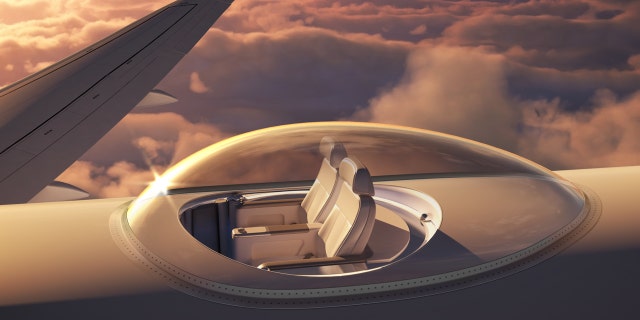 Sit high above it all in a transparent canopy that sits on top of the airplane.
