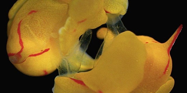d1922f6f-