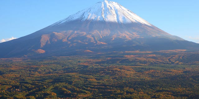 Youtubers Suicide Forest Video Shines Light On Notorious Japanese