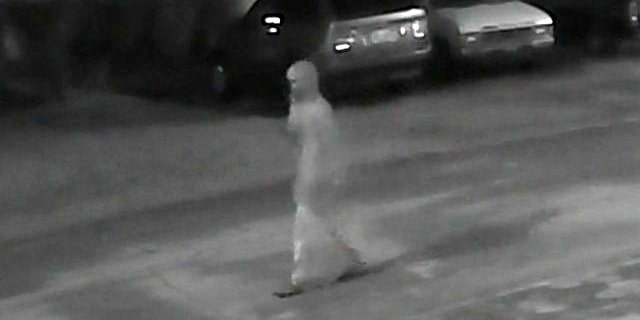Investigators are asking the public for help identifying this person seen on the night of Mitchell's killing.