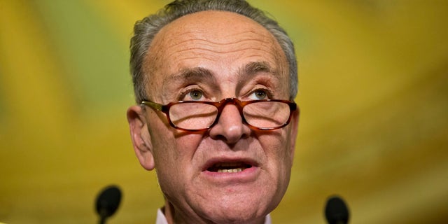 Senate Minority Leader Charles Schumer, D-N.Y., speaks to the media on Capitol Hill in Washington, Tuesday, May 17, 2016.