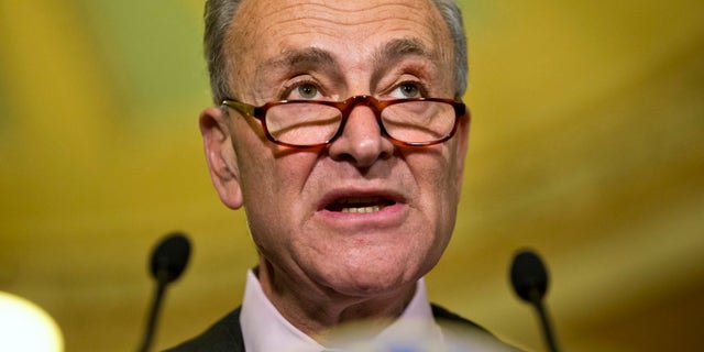 Senate Minority Leader Charles Schumer, D-N.Y., speaks to the media on Capitol Hill in Washington, Tuesday, May 17, 2016.
