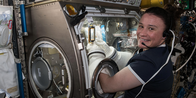 Expedition 56 Flight Engineer Serena Auñón-Chancellor is seen here performing operations for the Angiex Cancer Therapy trials on board the International Space Station.