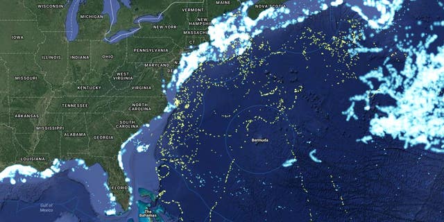 The shark map (Oceana)