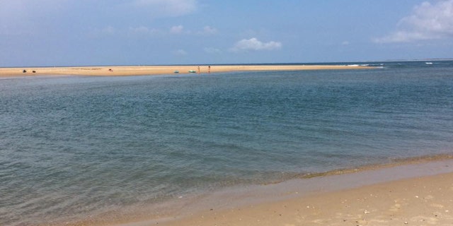 A portion of "Shelly Island" in North Carolina is seen in July.