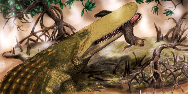 MU assistant professor Casey Holliday nicknamed Aegisuchus witmeri Shieldcroc because of its thick skinned shield.