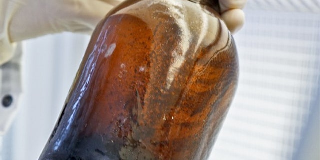 Beer discovered two years ago onboard a shipwreck from the mid-1800s could possibly be recreated using living bacteria discovered in the brew.