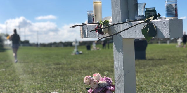 Two staff members and 15 students were killed in a shooting at Marjory Stoneman Douglas High School.
