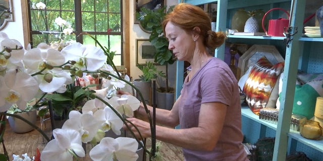 Brenda Goff, owner of Red Onion in Baton Rouge, said she can see both sides of the argument to require florist to obtain a license to sell flowers.