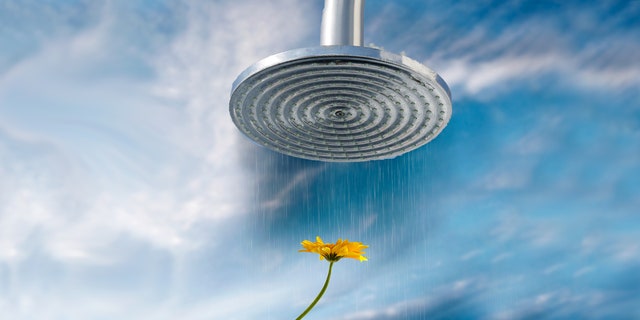 shower flower