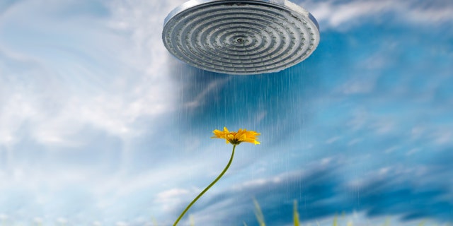 shower flower