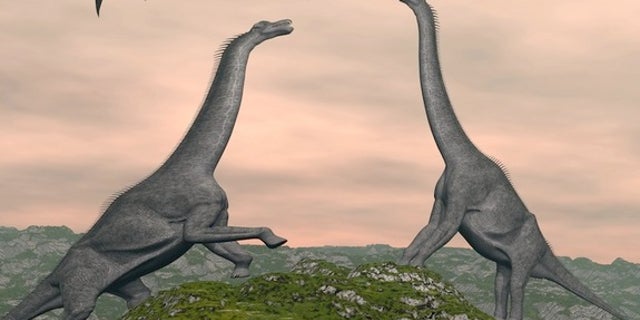 Brachiosaurus at sunset.