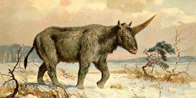 Painting of Elasmotherium sibiricum by Heinrich Harder, ca. 1920 (Heinrich Harder, Wikimedia Commons [Public Domain])